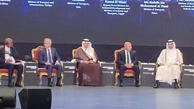 وزير النقل التركي: نسعى لاستعادة وتشغيل خطوط النقل الرورو بين القاهرة وأنقرة مجددا