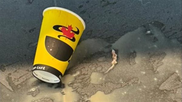 برص في الكرك 