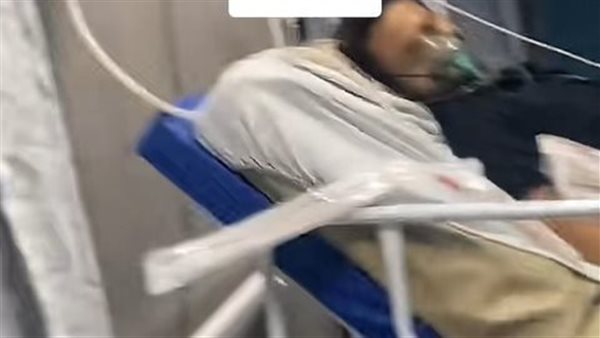 إسماعيل الليثي 