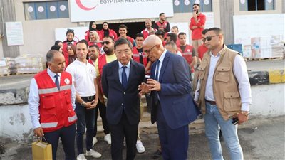 محافظ شمال سيناء وسفير سنغافورة يتفقدان معبر رفح البري للاطلاع على آلية دخول المساعدات إلى غزة