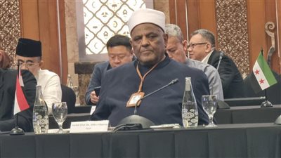 أمين عام كبار العلماء بالأزهر: السلام لا بد له من قوة تحميه.. والغرب مطالب بوقف ازدواجيته تجاه قضايا المسلمين