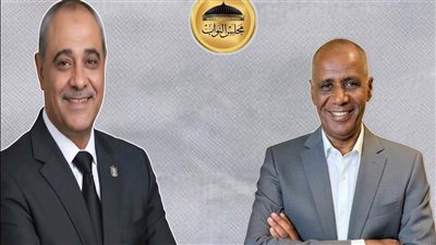 جولة الإعادة في دائرة أرمنت والقرنة بين علاء الغزالي وعبد الستار رضا بعد إعلان الحصر العددي للأصوات