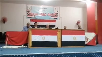 الإعادة تحسم جولة الانتخابات في الدائرة الثانية بـ الوادي الجديد