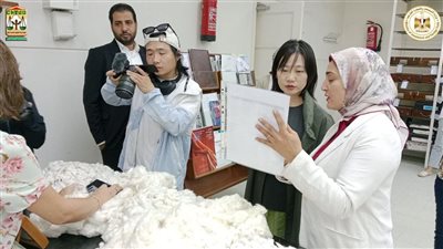 شركة صينية كبرى تبحث إنشاء خطوط إنتاج جديدة للمفروشات القطنية في مصر