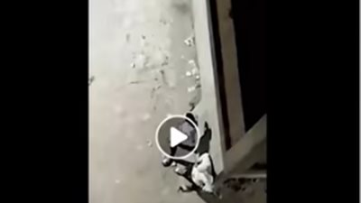 القبض على 3 متهمين بترويج المواد المخدرة بالقليوبية