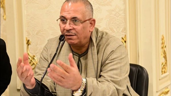 النائب رفعت شكيب