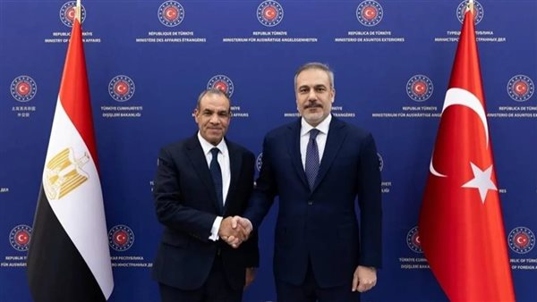 عبد العاطي وفيدان