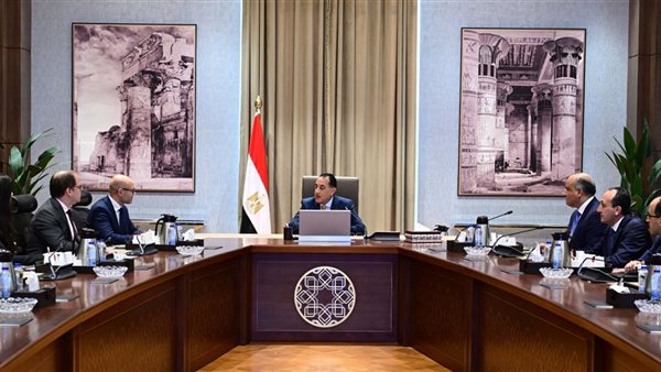 رئيس الوزراء يلتقي