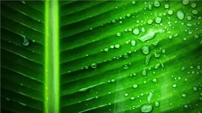 إنجاز علمي غير مسبوق.. باحثون يبتكرون جهازًا يحوّل ثاني أكسيد الكربون إلى وقود باستخدام ضوء الشمس