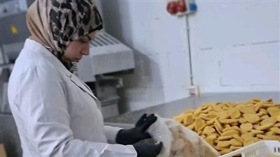 ضبط 8 أطنان دواجن غير صالحة للاستهلاك الآدمي بالعاشر من رمضان