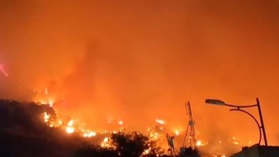 ليلة مشتعلة.. الجزائر تسجل أكثر من 17 حريق غابات في ولايات مختلفة والدفاع المدني يكافح للسيطرة