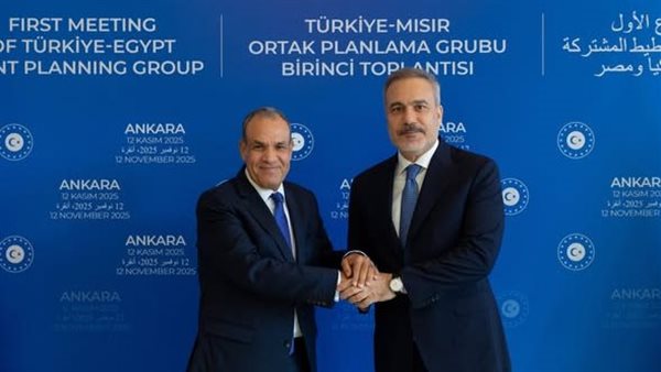 وزير الخارجية ونظيره