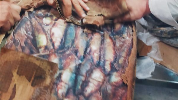 جانب من المضبوطات