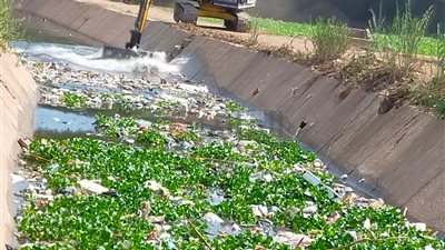 تطهير 14 كم مساقي وترخيص 921 مشروعا زراعيا بالمنوفية