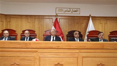 وزير العدل: افتتاح أول مأمورية استئناف بالوادي الجديد.. وإتاحة خدمات التقاضي عن بُعد