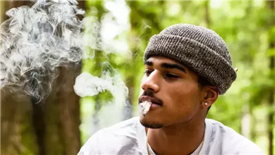 ارتفاع معدلات استخدام السجائر الإلكترونية.. شباب الجيل Z بين الاتجاه للتدخين بسبب الثقافة الشعبية والمشاهير وتحذيرات الخبراء 