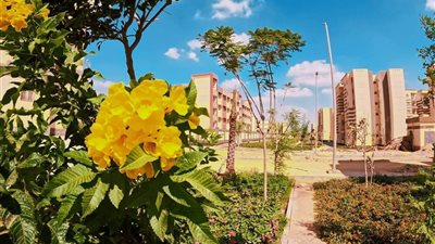 أجهزة المدن الجديدة تُواصل أعمال رفع الكفاءة والتطوير للطرق والميادين وصيانة المسطحات الخضراء