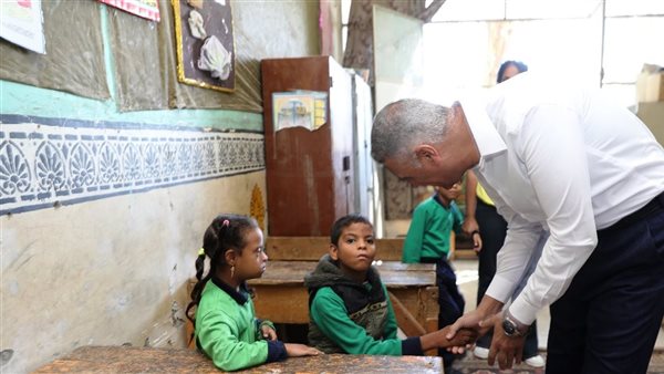 محافظ أسوان