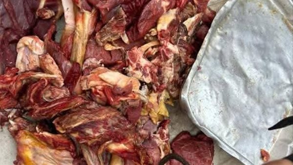 Sorry! Image not available at this time