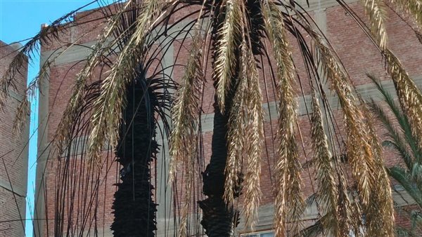 السيطرة على حريق