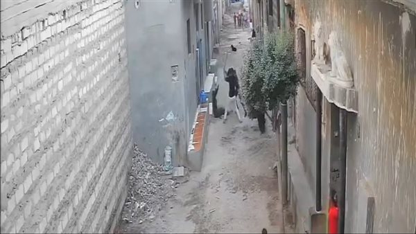 صورة من الاعتداء