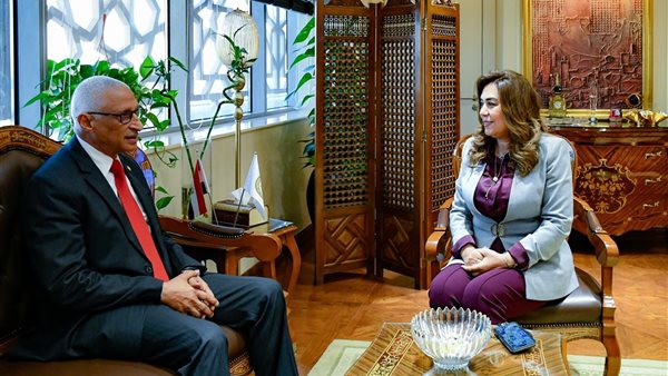 محافظ سيناء