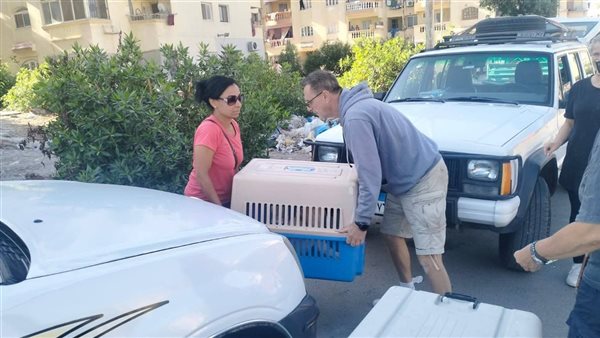 حملة لإجراء عمليات