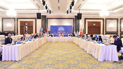 وزير الصحة: مصر تُطلق أول اجتماع لوزراء صحة دول الثماني النامية