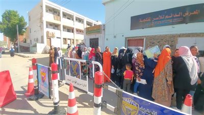 إجراء جولة الإعادة بانتخابات مجلس النواب بدائرتي الوادي الجديد