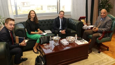 مباحثات مصرية فرنسية لتعزيز الشراكة في مشروعات الطاقة المتجددة وتطوير الشبكة القومية للكهرباء