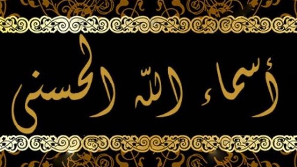 Sorry! Image not available at this time