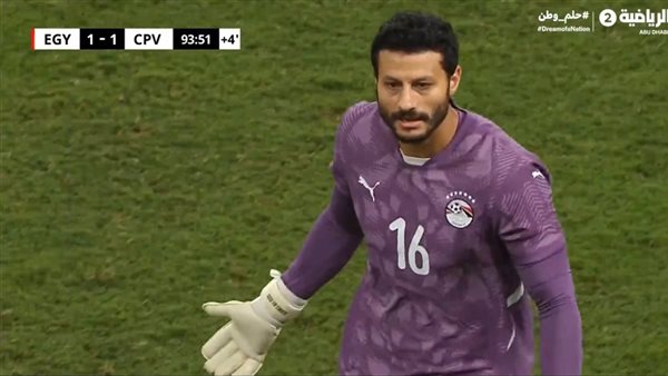 محمد الشناوي