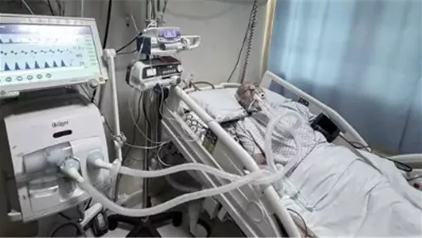 علي سيد الأهل