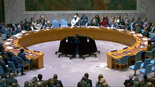 مجلس الأمن الدولي