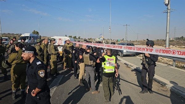 حادث الطعن في غوش