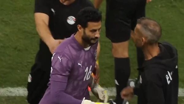 محمد الشناوي 