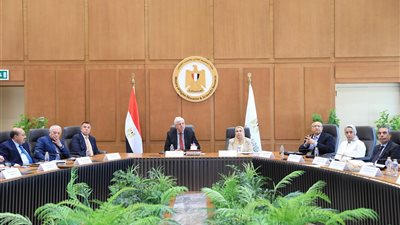 وزير التعليم العالي: انضمام 11 فرعًا للجامعات الأجنبية بمصر خلال الفترة المقبلة