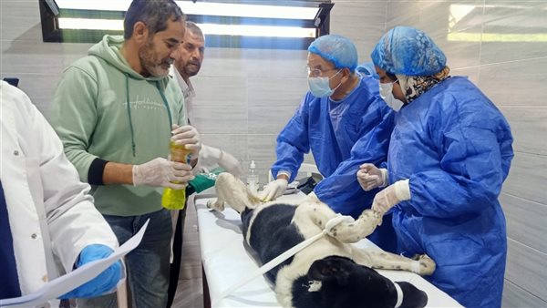 جانب من المبادرة