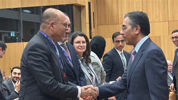 جانب من الفاعلية