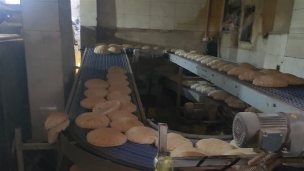 جانب من الحملة 