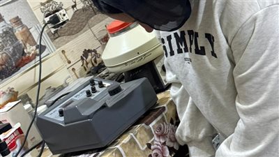 حاصلة على مؤهل اقتصاد منزلي.. ضبط سيدة تنتحل صفة طبيبة ببني سويف