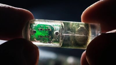 كبسولات مغناطيسية تكشف نزيف الأمعاء خلال 20 دقيقة