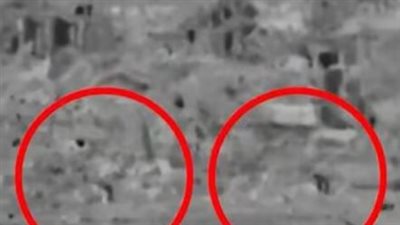 القناة 12: الجيش الإسرائيلي يهدم الأنفاق في رفح فوق المتحصنين بها 