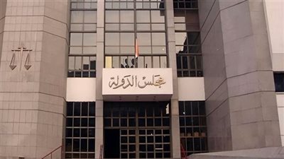 الإدارية العليا تقضي بإلغاء الانتخابات في إدفو بأسوان 