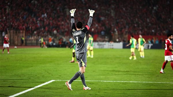 محمد الشناوي