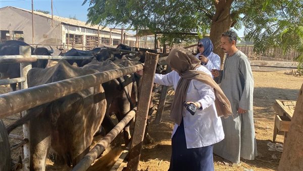 حملة تحصين الماشية