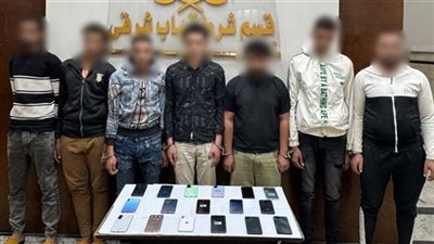 التحقيق مع 7 أشخاص بتهمة سرقة الهواتف المحمولة بالإسكندرية