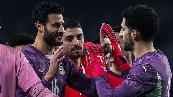 الشناوي ومصطفى شوبير