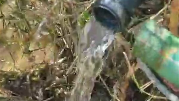 جانب من الضبط