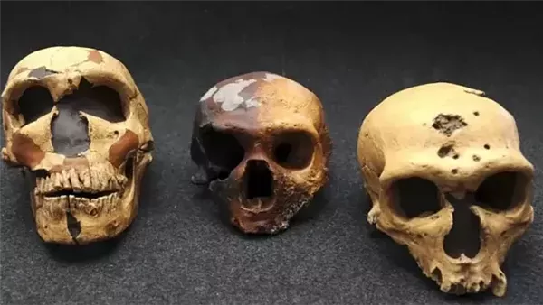  صورة تعبيرية 